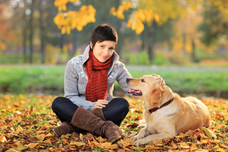 How to Get Good Dog Boarding in Manhattan