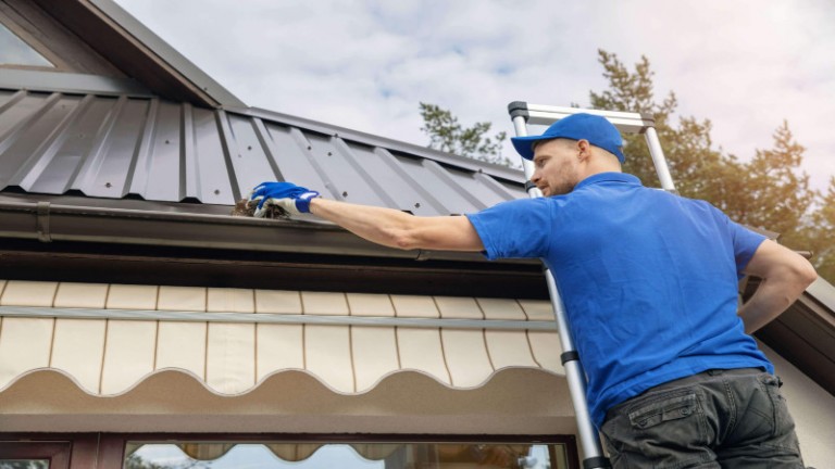 Professional Roof Cleaning for Homes and Businesses in Puyallup, WA