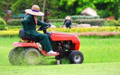 Negotiating with a Supplier of Lawn Mower Drive Belts? 5 Essential Things to Know